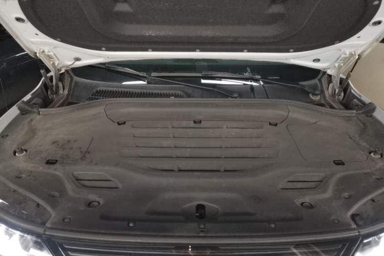 Used Leapmotor C11 2023 Pure Electric 500 Comfort Edition Engine Bay