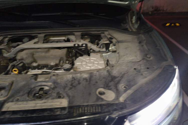 Used Leapmotor C11 2023 Range-Extended 285 Smart Enjoyment Edition Engine Bay Left
