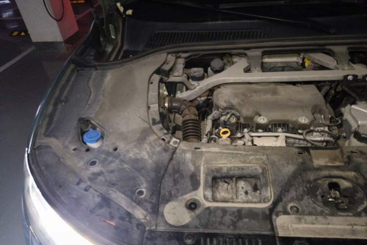 Used Leapmotor C11 2023 Range-Extended 285 Smart Enjoyment Edition Engine Bay Right