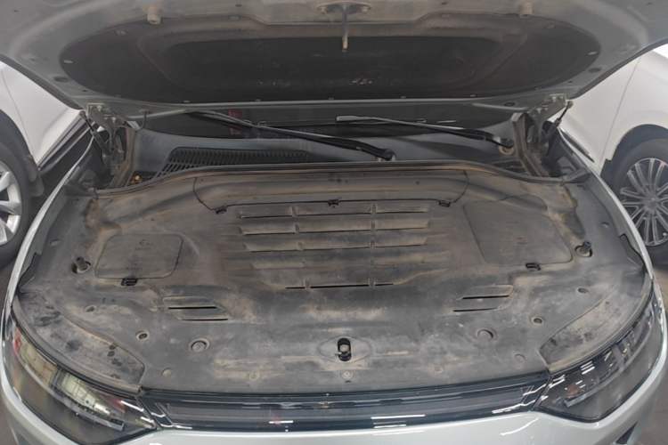 Used Leapmotor C11 2023 Pure Electric 500 Smart Edition Engine Bay