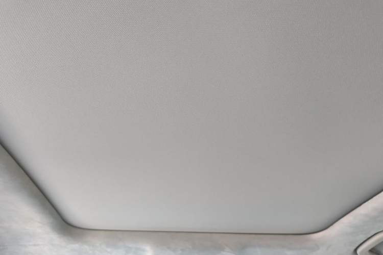 Used Leapmotor C11 2023 Extended-Range 285 Comfort Edition Headliner