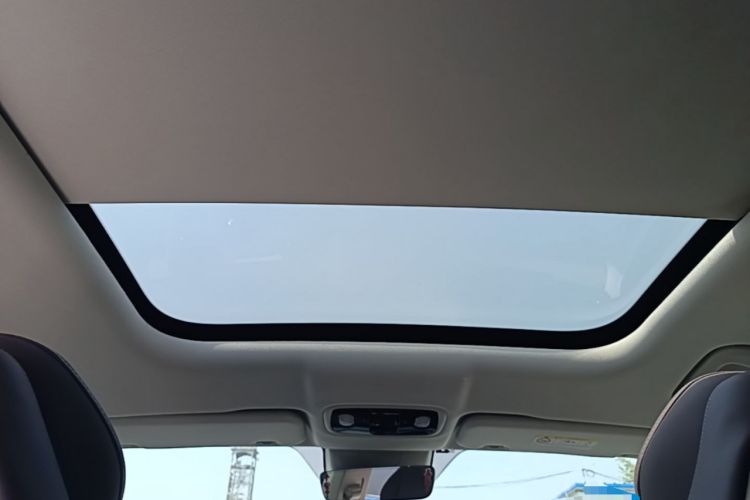 Used Leapmotor C11 2023 Range-Extended 300 Smart Enjoyment Edition Headliner