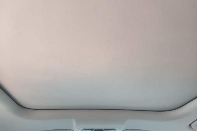 Used Leapmotor C11 2023 Range-Extended 200 Comfort Edition Headliner