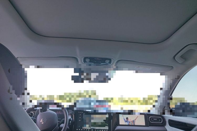 Used Leapmotor C11 2023 Range-Extended 300 Comfort Edition Headliner