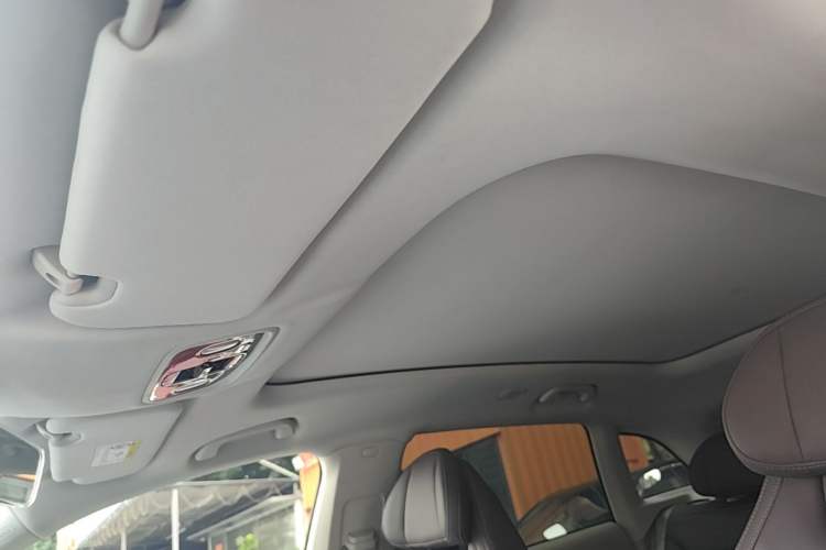 Used Leapmotor C11 2023 Pure Electric 500 Smart Edition Headliner