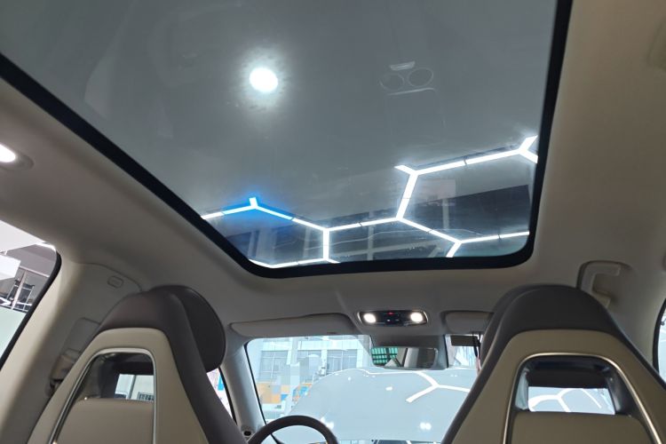 Used Leapmotor C11 2023 Pure Electric 500 Comfort Edition Headliner