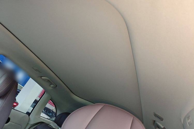 Used Leapmotor C11 2023 Extended-Range 285 Comfort Edition Headliner