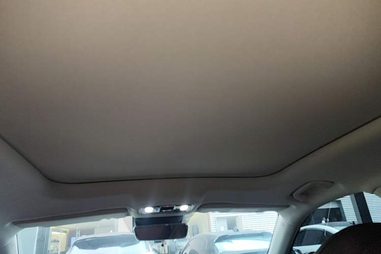 Used Leapmotor C11 2023 Extended-Range 285 Comfort Edition Headliner