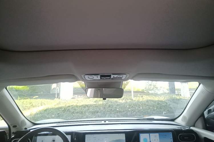 Used Leapmotor C11 2023 Pure Electric 500 Comfort Edition Headliner
