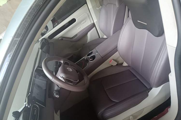 Used Leapmotor C11 2023 Pure Electric 500 Comfort Edition Left Front Seat