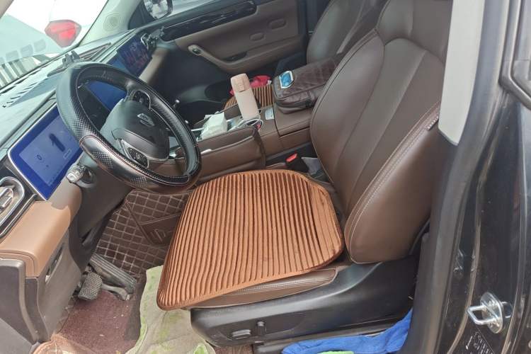 Used Leapmotor C11 2023 Range-Extended 300 Comfort Edition Left Front Seat