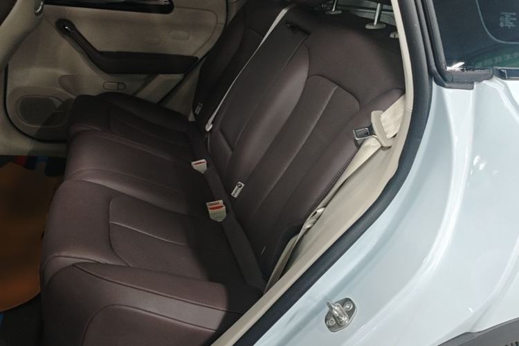 Used Leapmotor C11 2023 Range-Extended 200 Comfort Edition Left Rear Seat