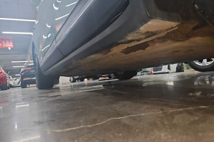 Used Leapmotor C11 2023 Pure Electric 500 Smart Edition Left Side Sill