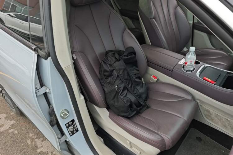 Used Leapmotor C11 2023 Range-Extended 180 Comfort Edition Right Front Seat