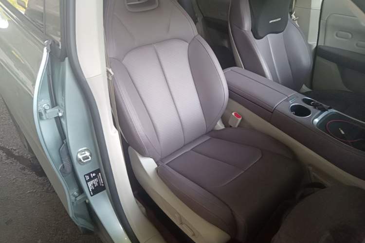 Used Leapmotor C11 2023 Pure Electric 500 Comfort Edition Right Front Seat