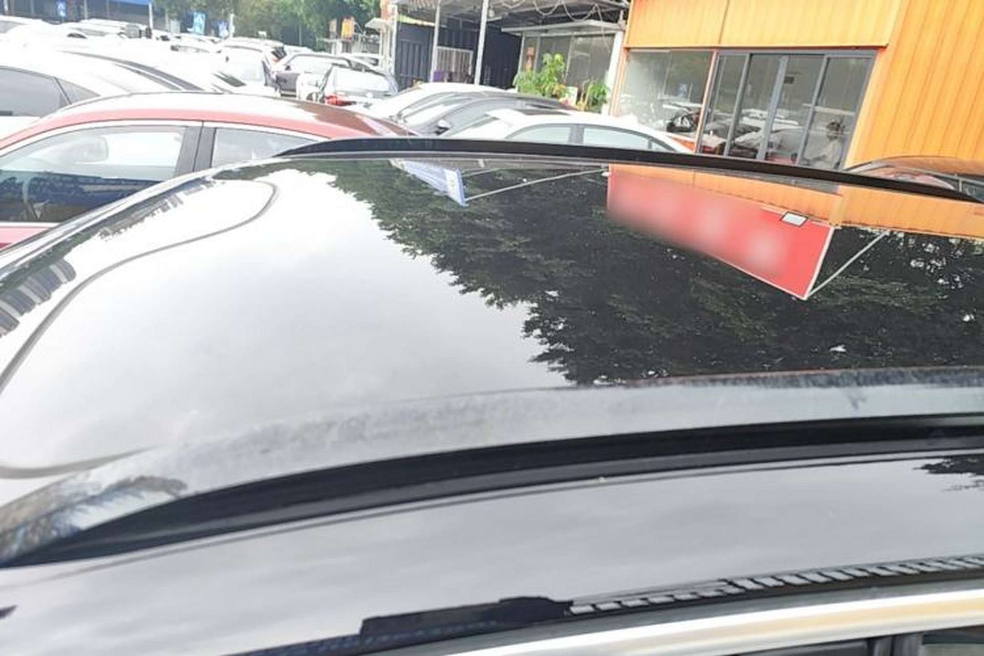 Used Leapmotor C11 2023 Pure Electric 500 Smart Edition Roof
