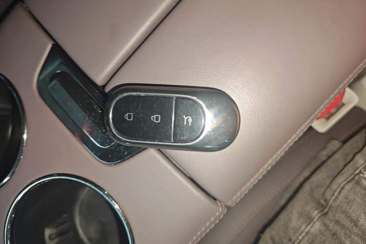 Used Leapmotor C11 2023 Pure Electric 500 Smart Edition Vehicle Key