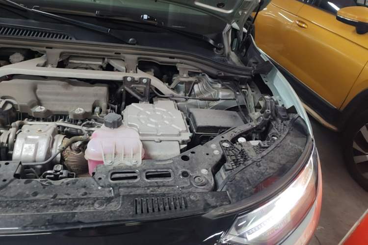 Used Leapmotor C11 2023 Range-Extended 285 Smart Enjoyment Edition Engine Bay Left