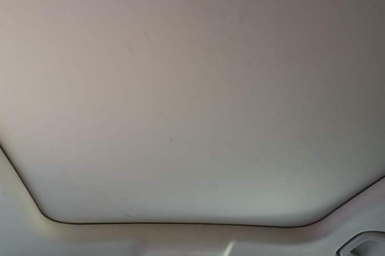 Used Leapmotor C11 2023 Pure Electric 500 Smart Edition Headliner
