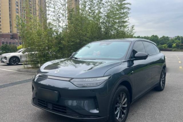 Used Leapmotor C11 2023 Pure Electric 500 Comfort Edition
