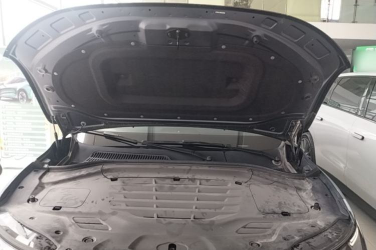 Used Leapmotor C11 2023 Pure Electric 500 Comfort Edition Engine Bay