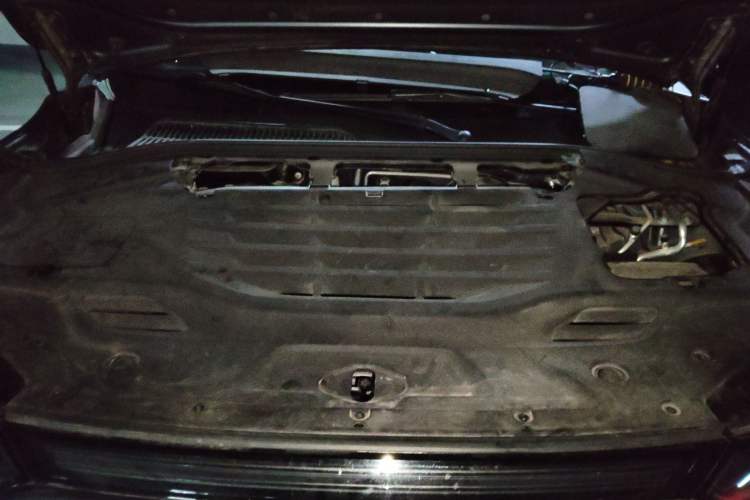 Used Leapmotor C11 2023 Pure Electric 500 Comfort Edition Engine Bay