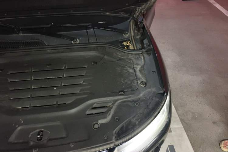 Used Leapmotor C11 2023 Pure Electric 500 Smart Edition Engine Bay Left