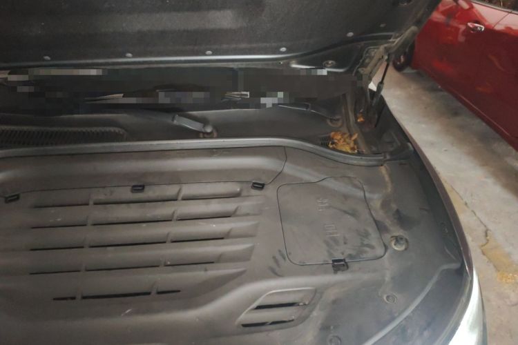 Used Leapmotor C11 2023 Pure Electric 500 Zhixing Edition Engine Bay Left