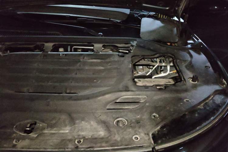 Used Leapmotor C11 2023 Pure Electric 500 Comfort Edition Engine Bay Left