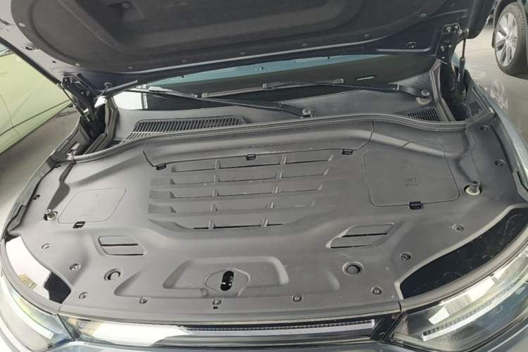 Used Leapmotor C11 2023 Pure Electric 500 Smart Edition Engine Bay