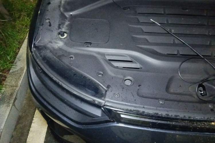 Used Leapmotor C11 2023 Pure Electric 500 Comfort Edition Engine Bay Right
