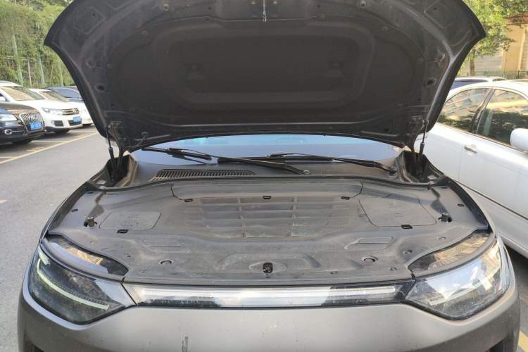 Used Leapmotor C11 2023 Pure Electric 650 ZhiXiang Edition Engine Bay