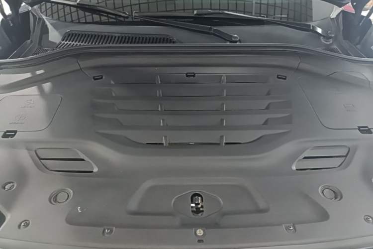 Used Leapmotor C11 2023 Pure Electric 500 Smart Edition Engine Bay
