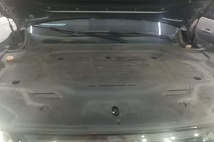 Used Leapmotor C11 2023 Pure Electric 500 Smart Edition Engine Bay