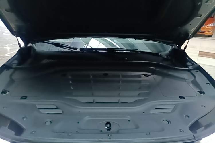 Used Leapmotor C11 2023 Pure Electric 500 Comfort Edition Engine Bay