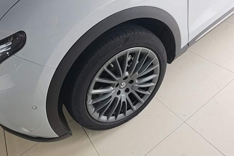 Used Leapmotor C11 2023 Pure Electric 500 Smart Edition Exterior 4
