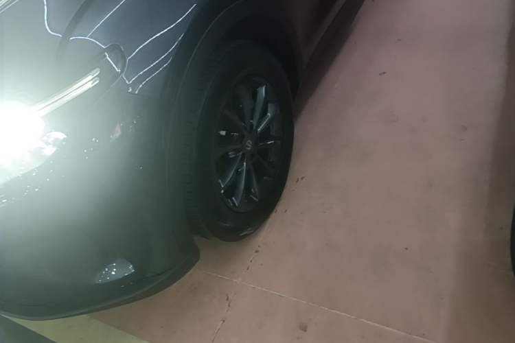 Used Leapmotor C11 2023 Pure Electric 500 Smart Edition Exterior 4