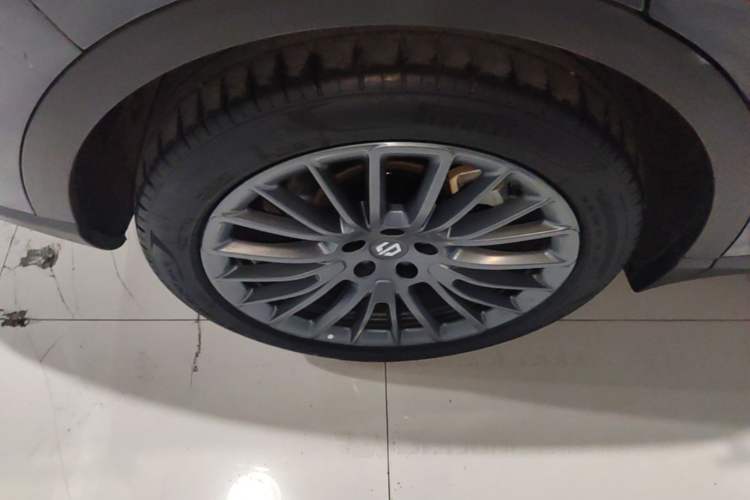 Used Leapmotor C11 2023 Pure Electric 500 Smart Edition Exterior 5