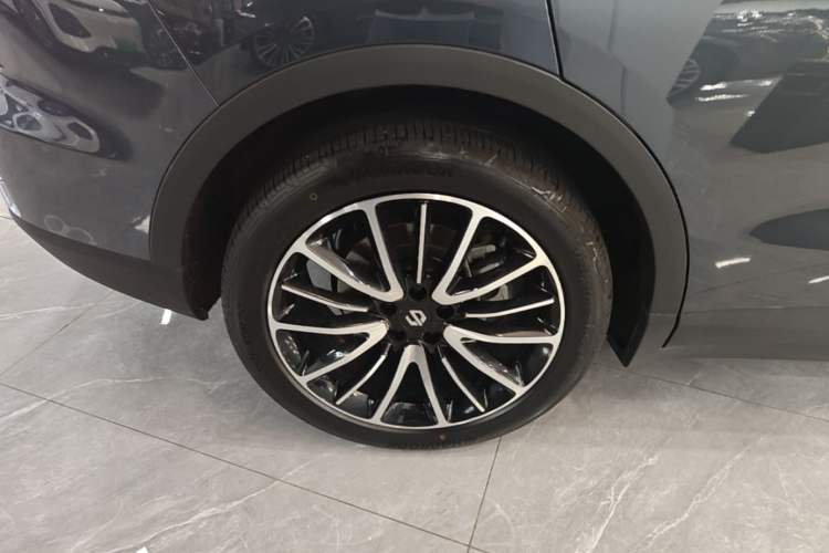 Used Leapmotor C11 2023 Extended-Range 285 Comfort Edition Exterior 5
