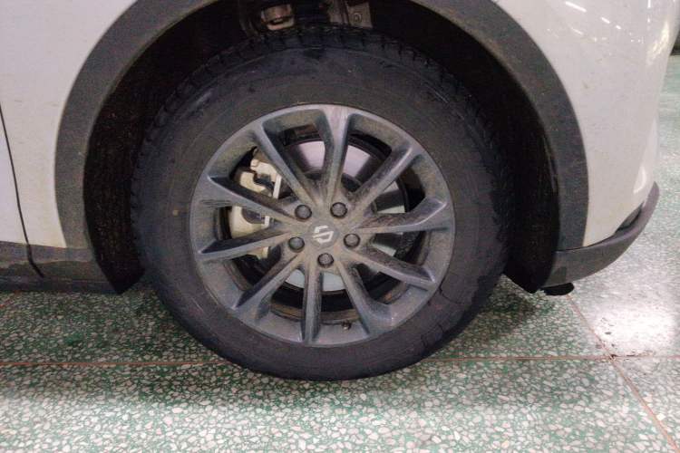 Used Leapmotor C11 2023 Pure Electric 500 Comfort Edition Exterior 7