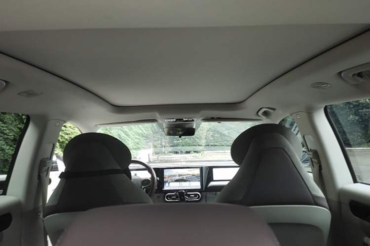 Used Leapmotor C11 2023 Pure Electric 500 Comfort Edition Headliner