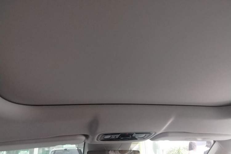 Used Leapmotor C11 2023 Pure Electric 500 Comfort Edition Headliner
