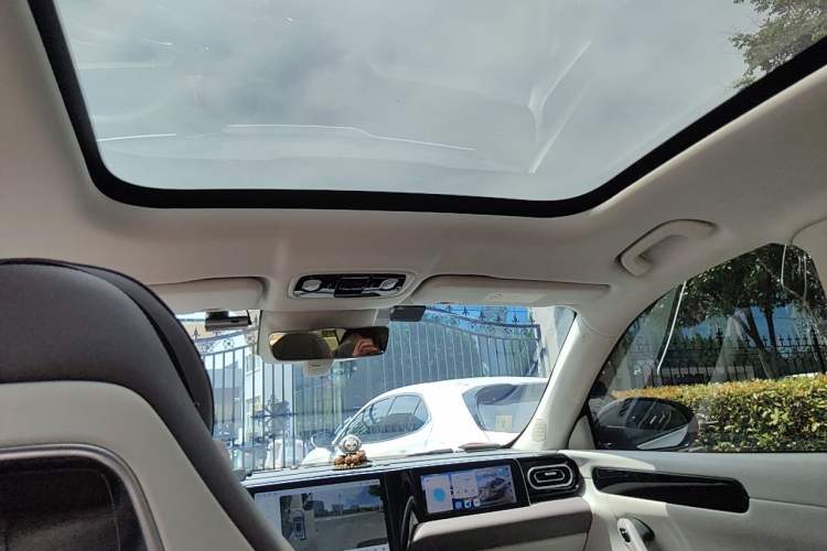 Used Leapmotor C11 2023 Range-Extended 300 Comfort Edition Headliner