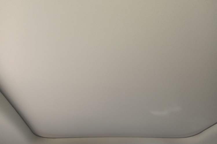 Used Leapmotor C11 2023 Pure Electric 500 Comfort Edition Headliner