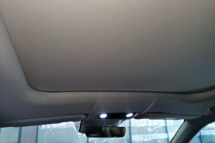 Used Leapmotor C11 2023 Pure Electric 500 Comfort Edition Headliner