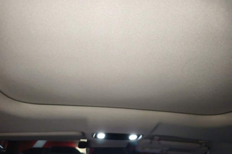 Used Leapmotor C11 2023 Pure Electric 500 Smart Edition Headliner