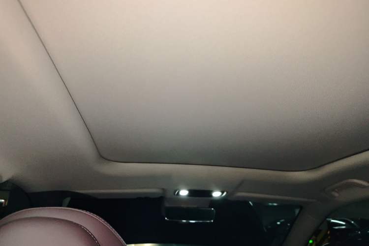 Used Leapmotor C11 2023 Range-Extended 200 Comfort Edition Headliner