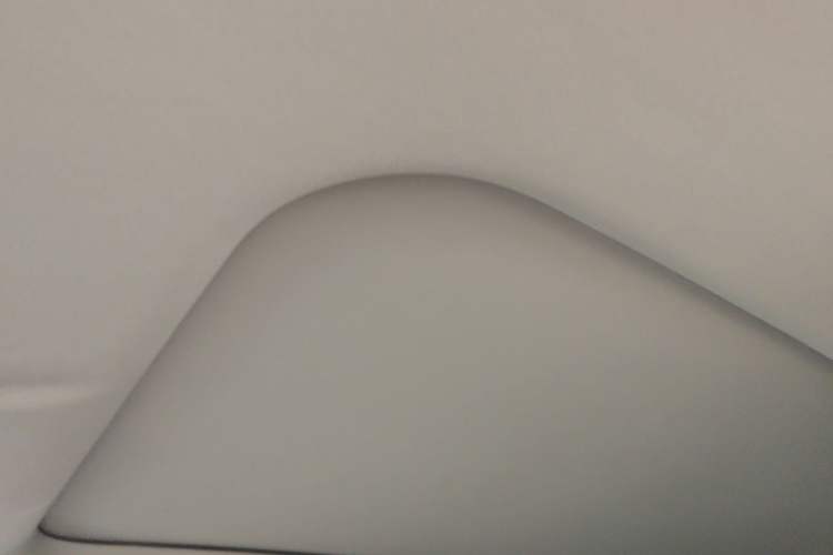 Used Leapmotor C11 2023 Pure Electric 500 Smart Edition Headliner