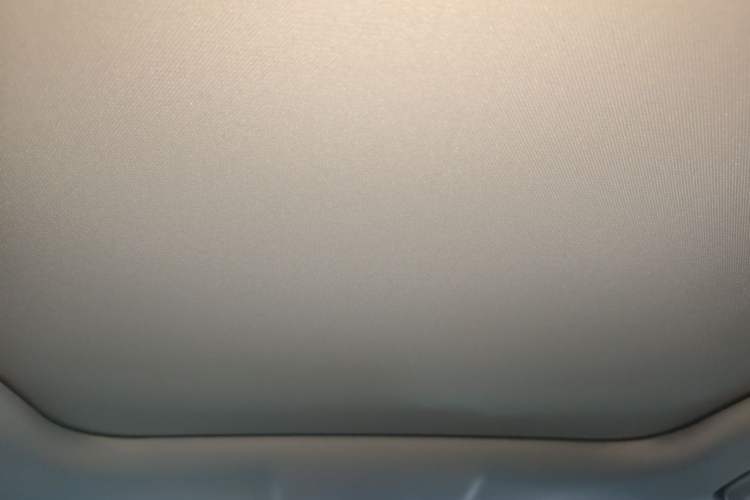 Used Leapmotor C11 2023 Range-Extended 300 Comfort Edition Headliner
