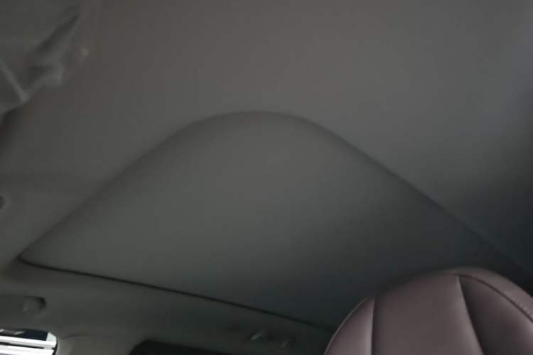Used Leapmotor C11 2023 Range-Extended 180 Comfort Edition Headliner